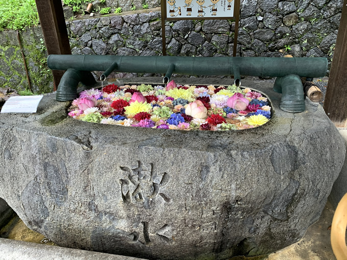 岡寺・華手水舎（奈良県明日香村）
