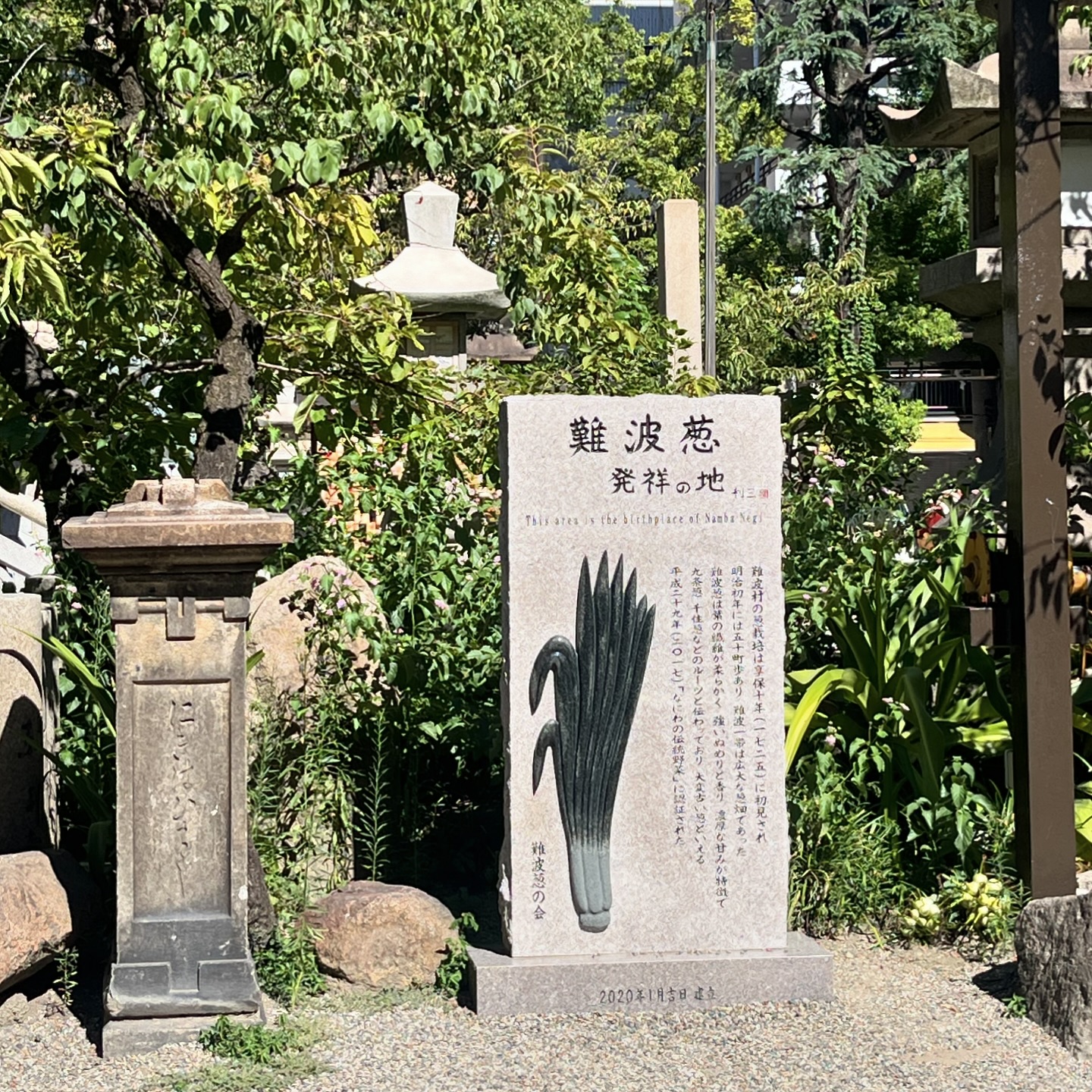 難波八阪神社（大阪浪速区元町）・"難波葱　発祥の地"の碑