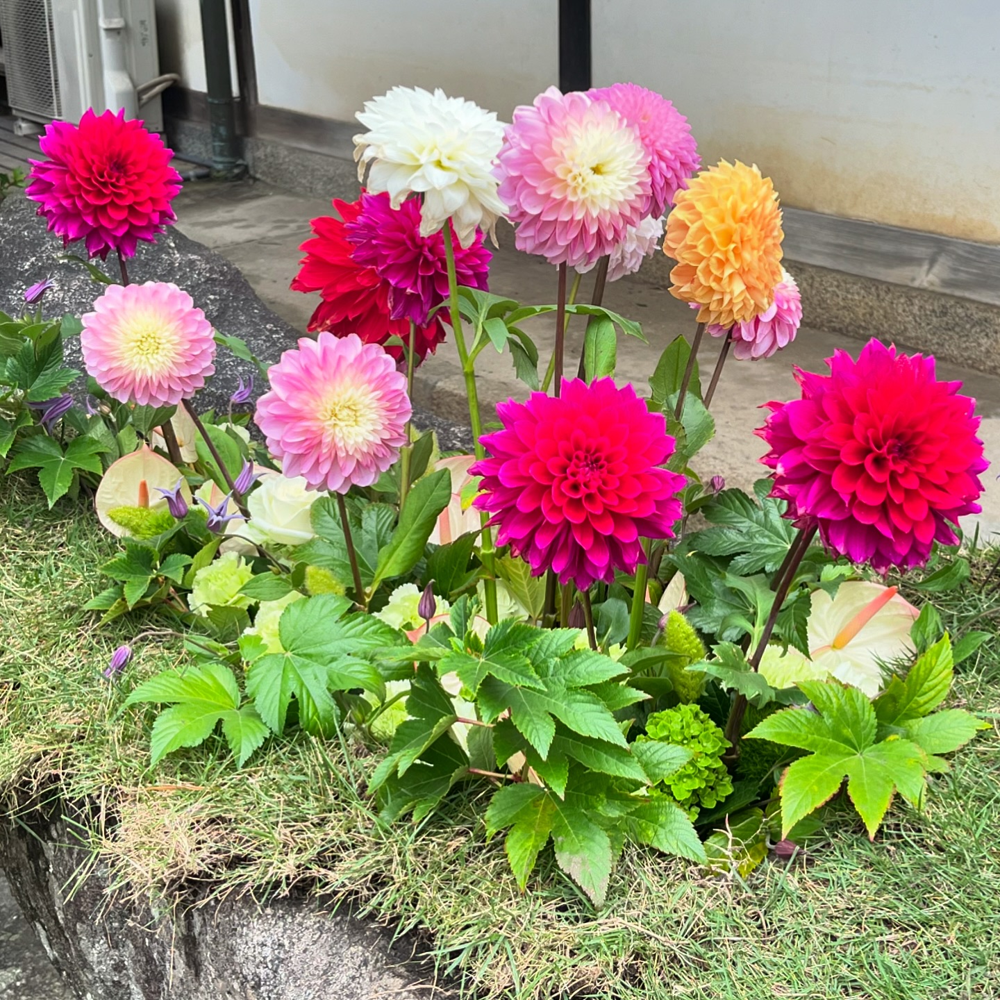 たけはら町並み保存地区 西方寺