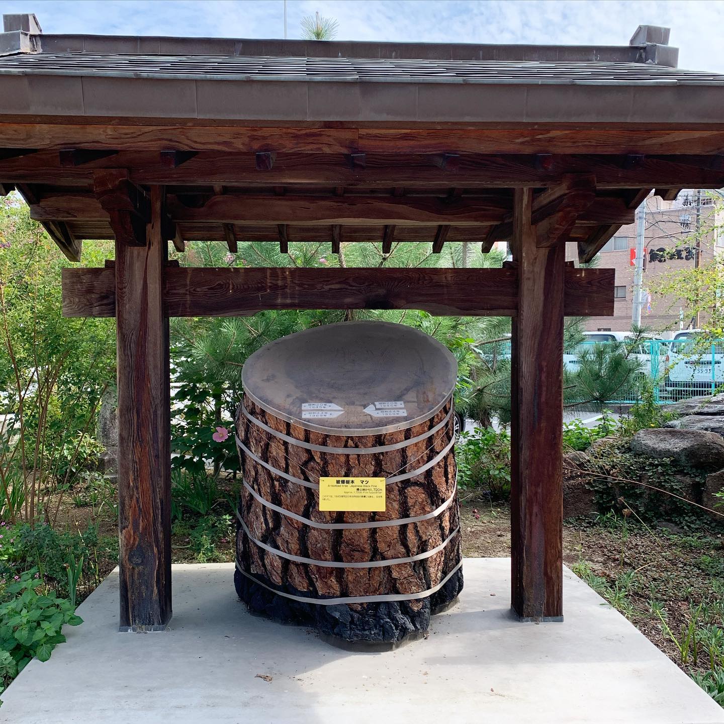 広島七福神めぐり・饒津神社・被爆松